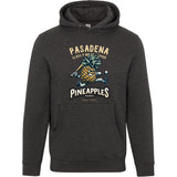 Pasadena Pineapples Retro Minor League Baseball Team Unisex Premium Hoodie