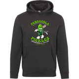 Pensacola Pickles Retro Minor League Baseball Team-Unisex Luxury Hoodie