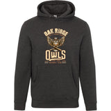 Oak Ridge Owls Retro Minor League Baseball Team Unisex Luxury Hoodie