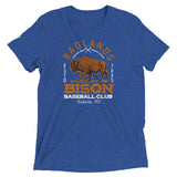 Badlands Bison Retro Minor League Baseball Team-Tri-Blend Shirt