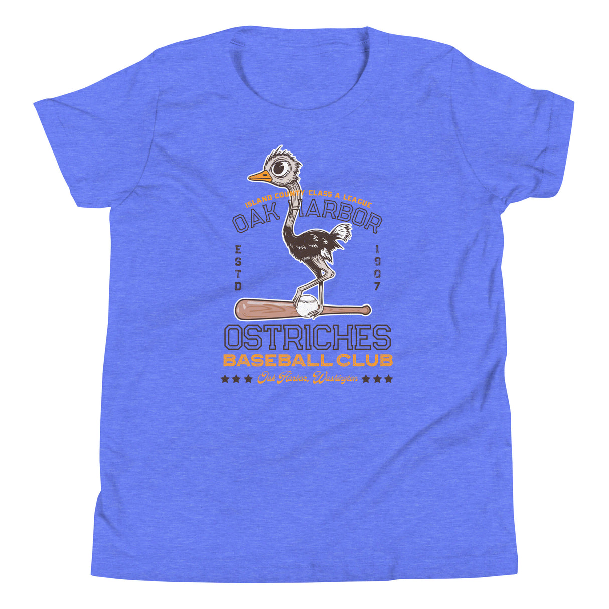 Oak Harbor Ostriches Retro Minor League Baseball Team-Youth T-Shirt - outfieldoutlaws